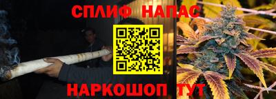СК Краснознаменск