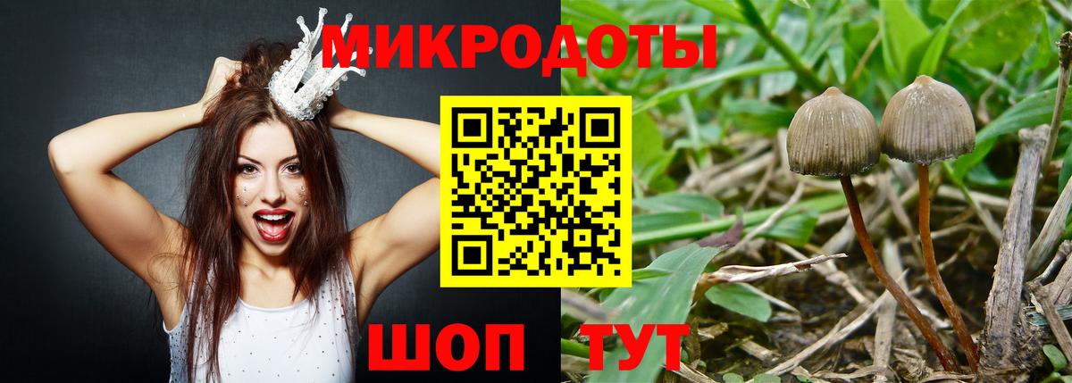 Вязники  Галлюциногенные грибы Cubensis  Вход с VPN 
