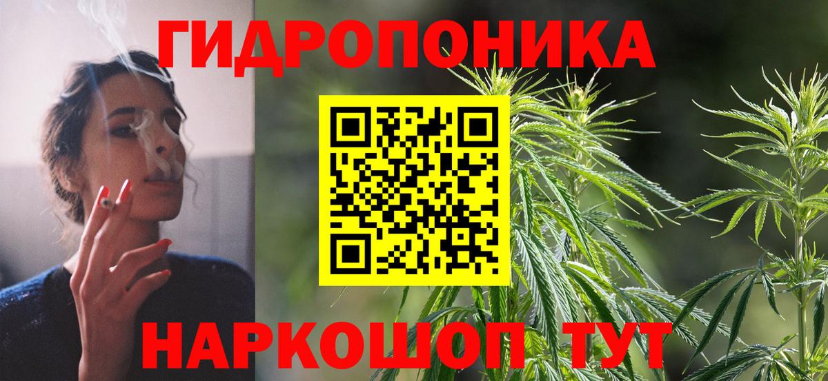 Канабис сатива Вязники